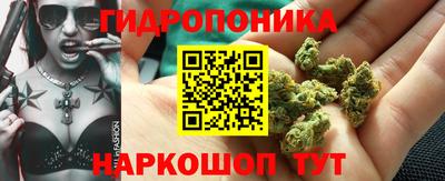 стаф Кулебаки